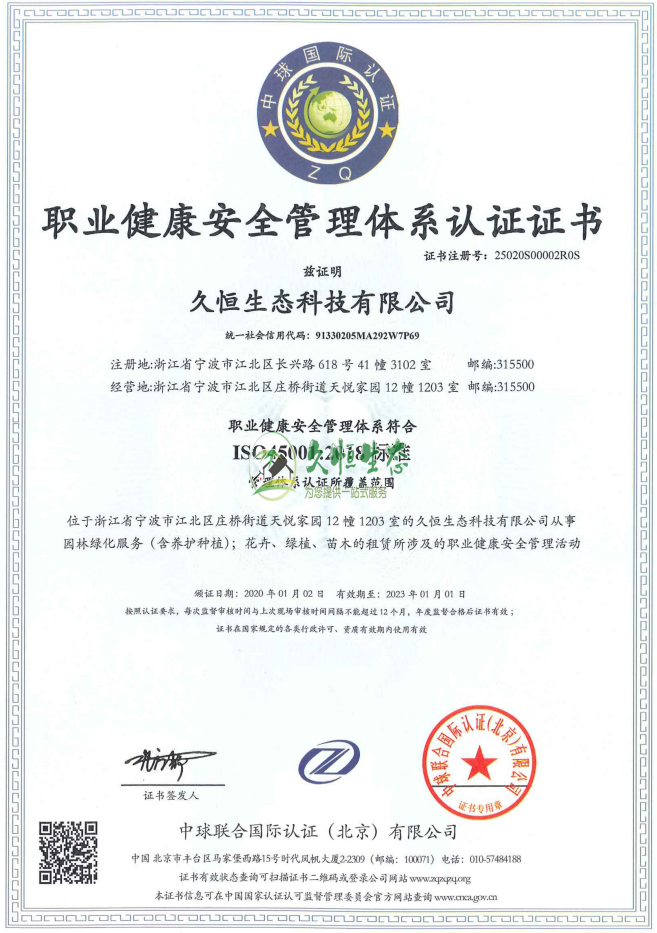 武汉蔡甸职业健康安全管理体系ISO45001证书